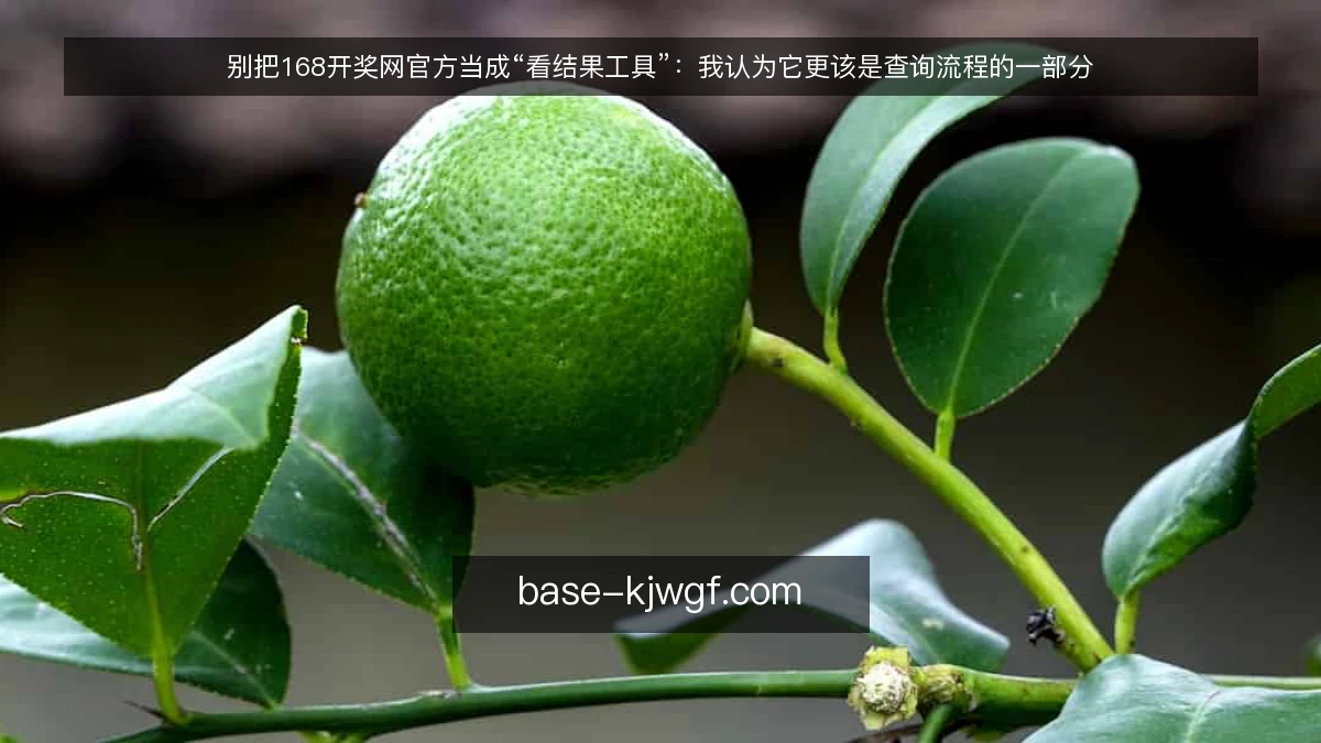 别把168开奖网官方当成“看结果工具”：我认为它更该是查询流程的一部分